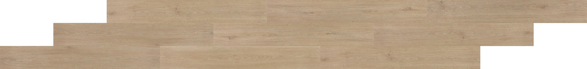Daltile Pines Terrace Sugar Glue Down 7 1/4x48 3.0MM 20 MIL(0.508MM) Luxury Vinyl Tile