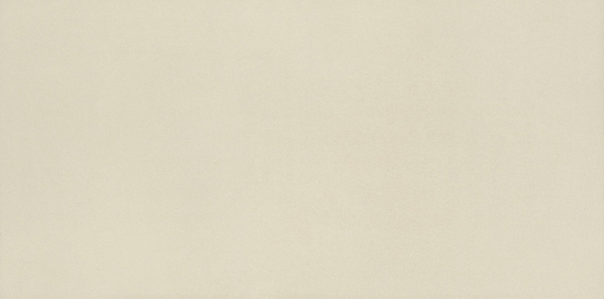 American Olean Neoconcrete White Rectangle 12x24 Light Polished Floor Tile