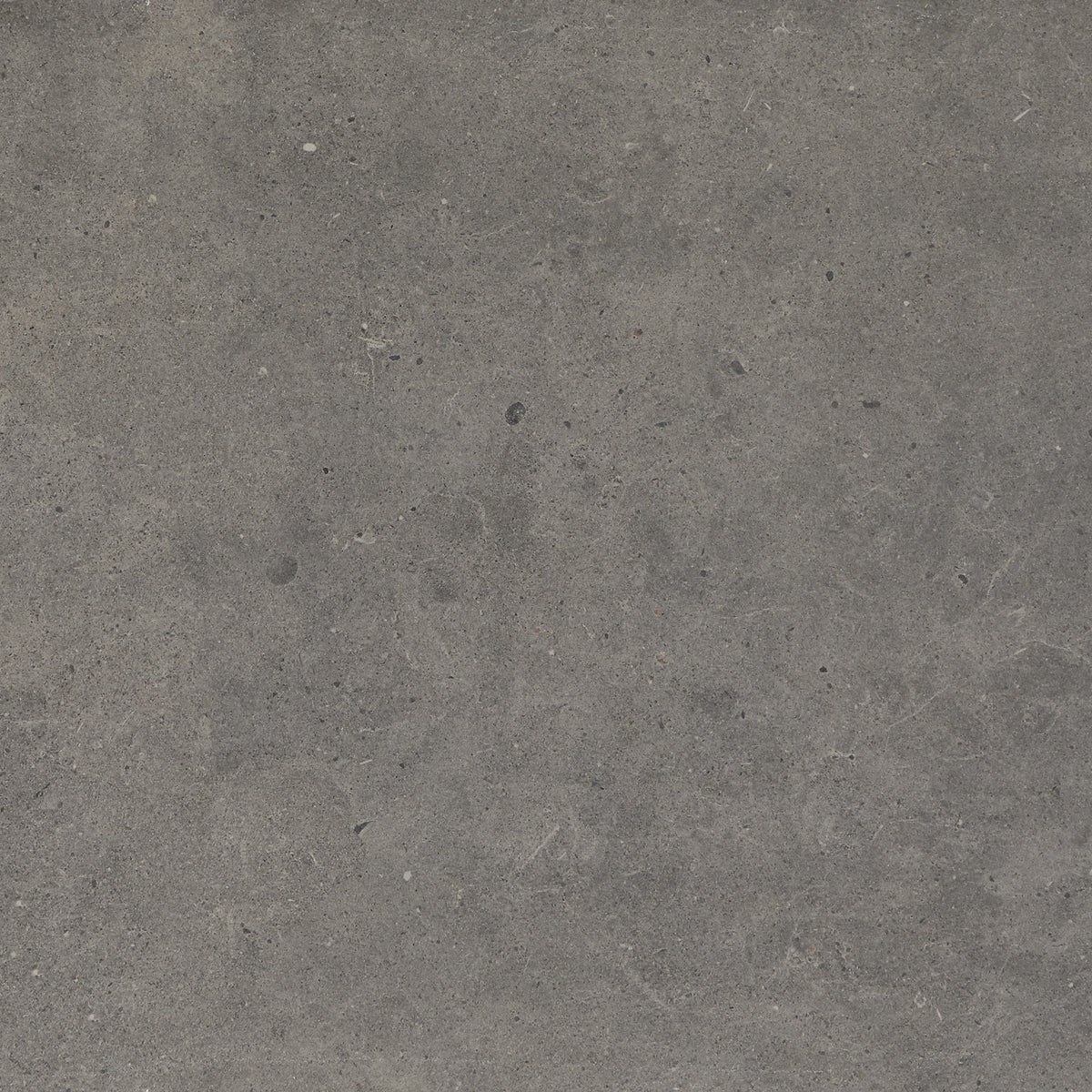 Marazzi Modern Formation Smoky Ridge Square 24x24 Matte Floor Tile