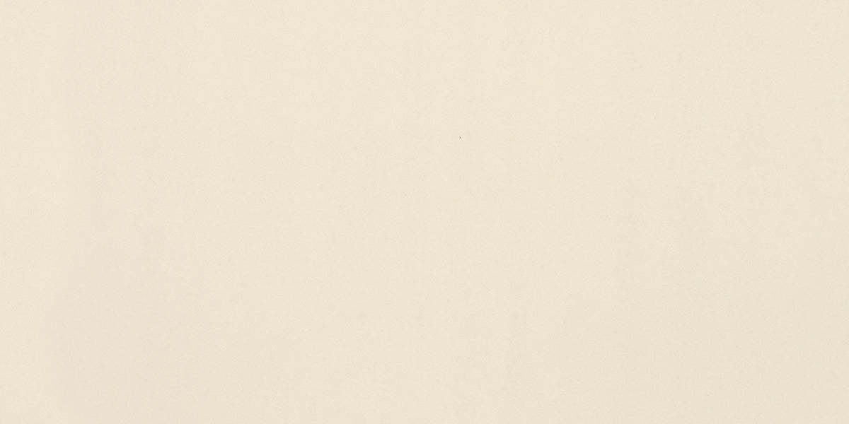 American Olean Clay Canvas Paint Rectangle 6x24 Matte Floor Tile