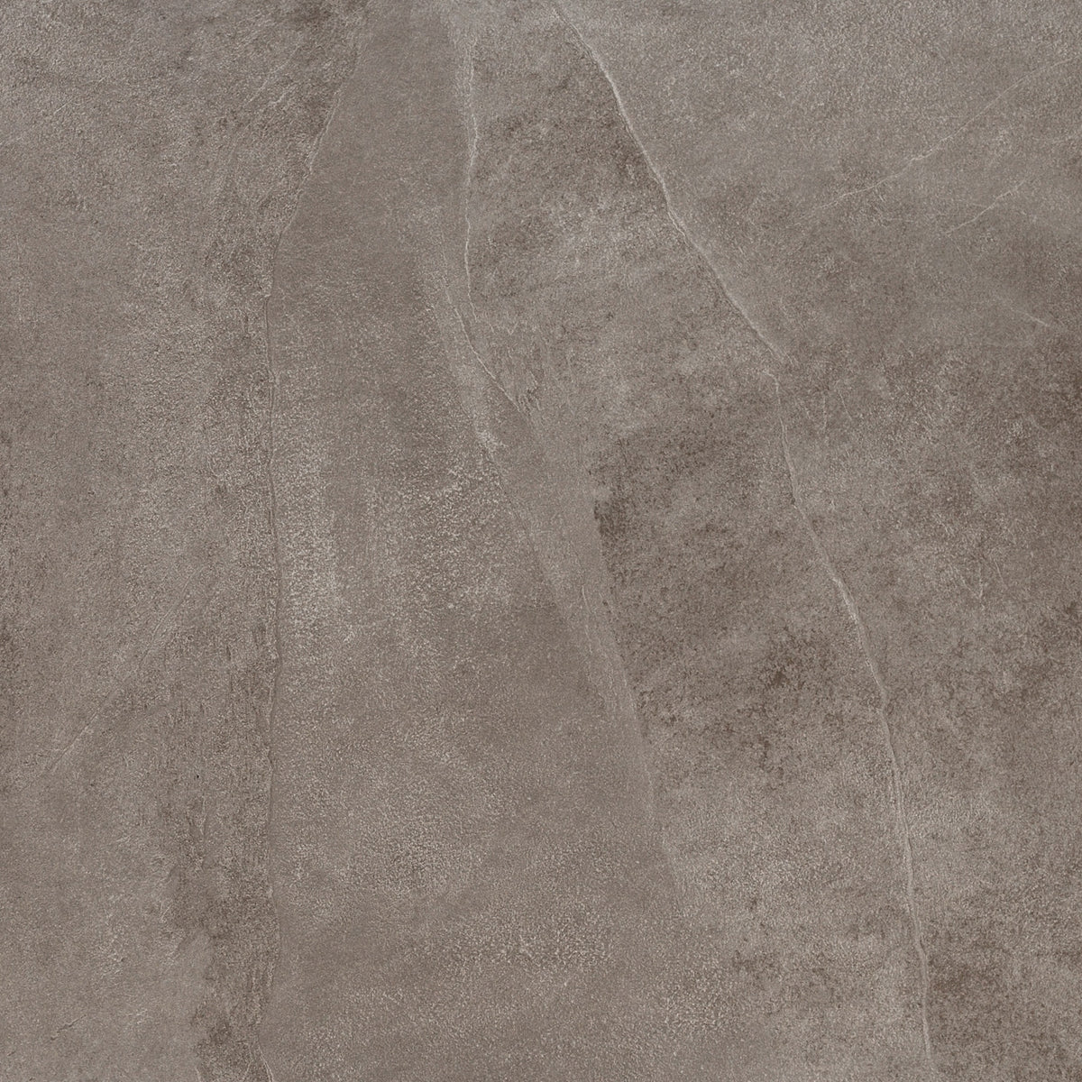 Daltile Delegate Light Grey Square 24x24 Matte Floor Tile