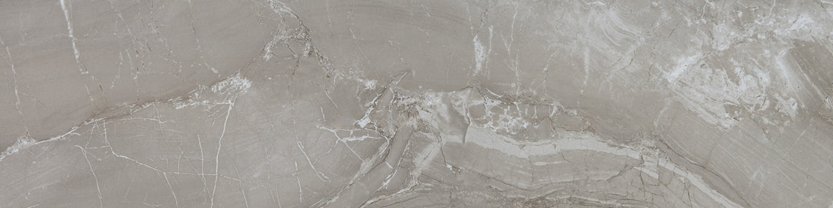 Daltile Famed Fortune Rectangle 12x24 Microban Matte Floor Tile
