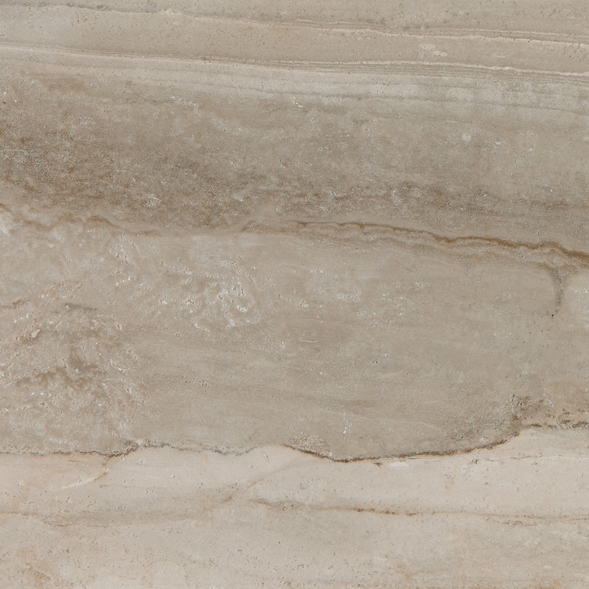 Daltile Famed Luxe Square 24x24 Microban Polished Floor Tile