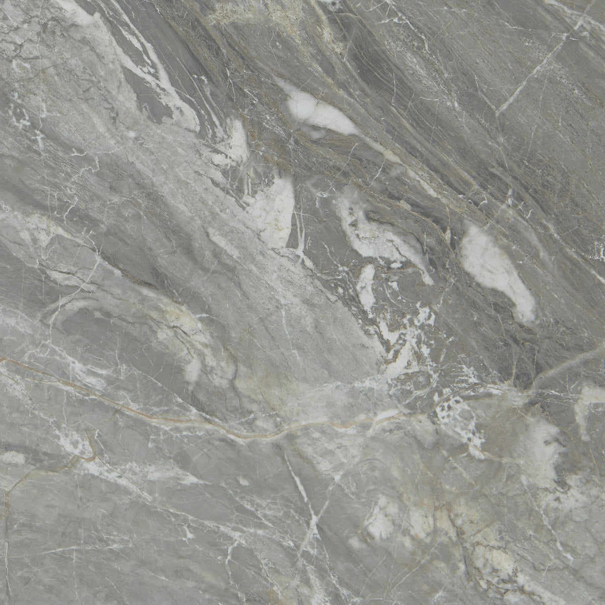 Daltile Famed Glamour Square 24x24 Microban Polished Floor Tile