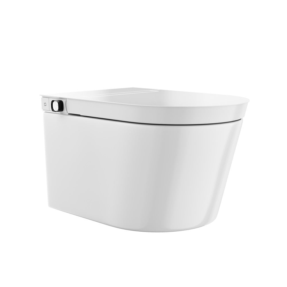 Hugo H Wall-Hung Toilet in Glossy White with Integrated Tank Manual Bidet and Supporting Frame