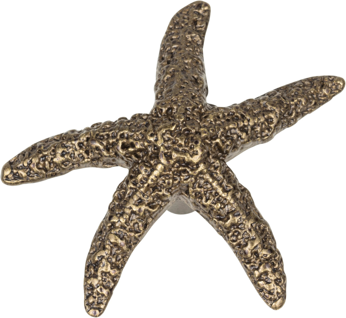 Atlas Homewares Starfish Knob 2 Inch Burnished Bronze