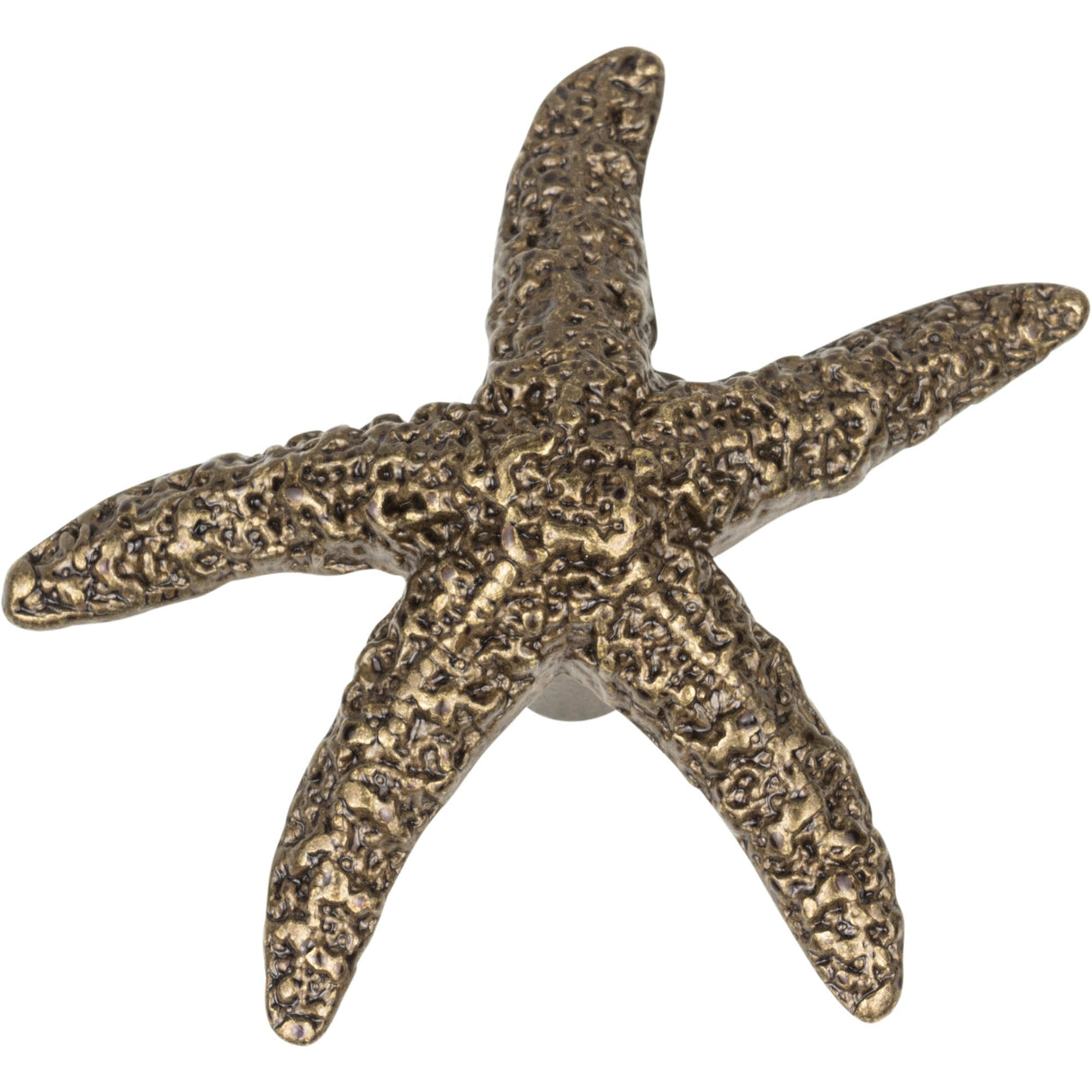 Atlas Homewares Starfish Knob 2 Inch Burnished Bronze