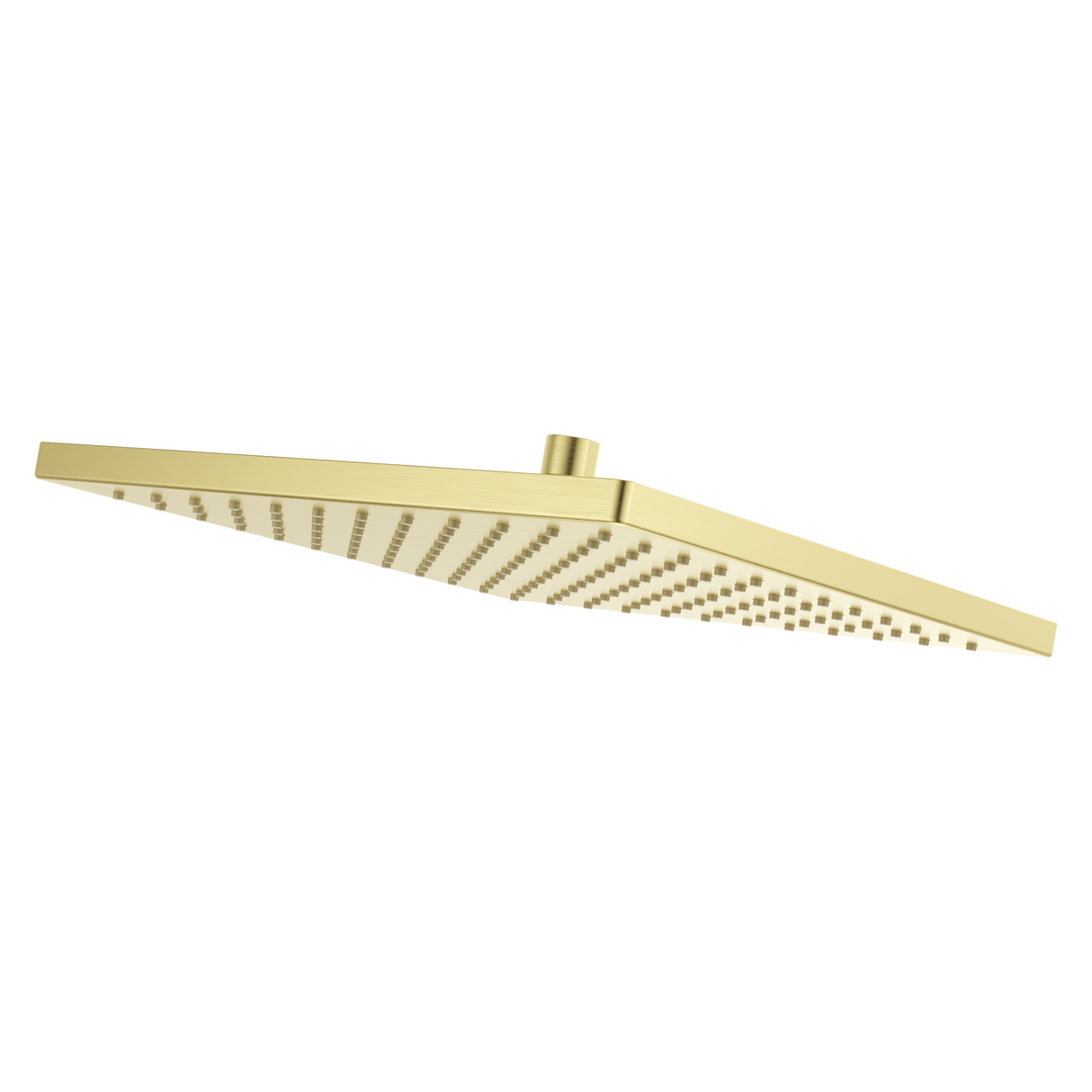 Modern Square 12 in. Raincan Showerhead in Brushed Gold