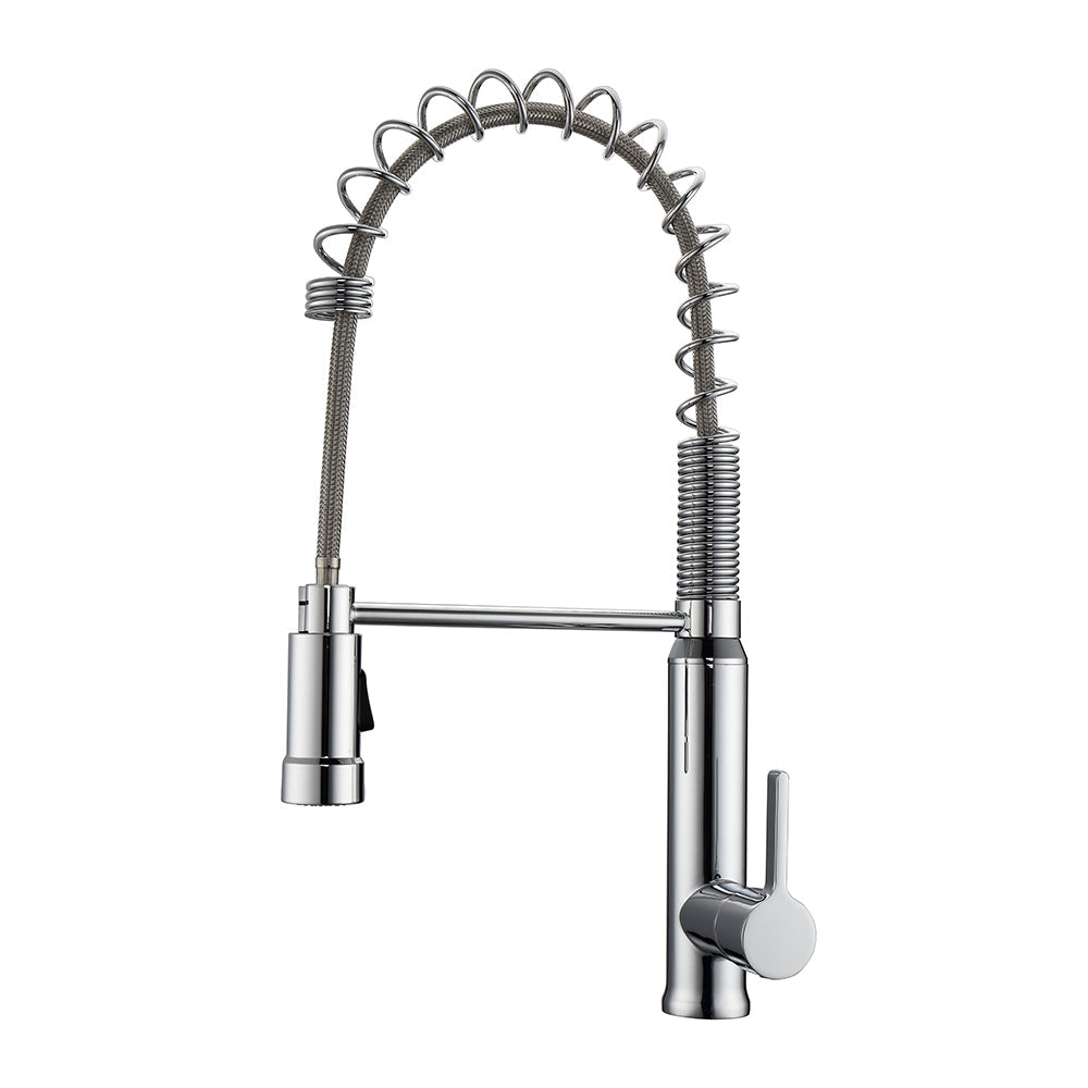 Shallot Spring Kitchen Faucet with Single Handle 1