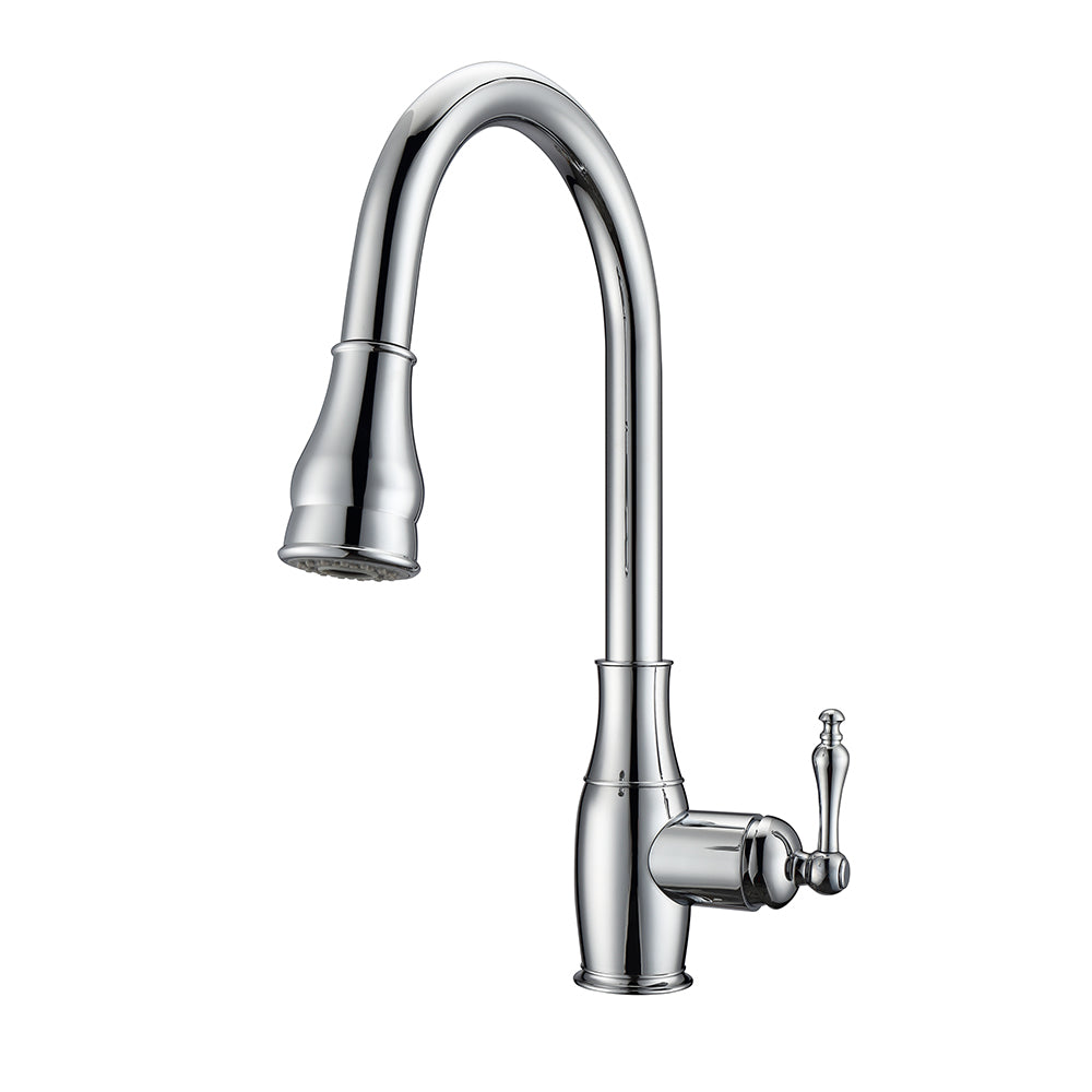 Caryl Single Handle Kitchen Faucet with Single Handle 1
