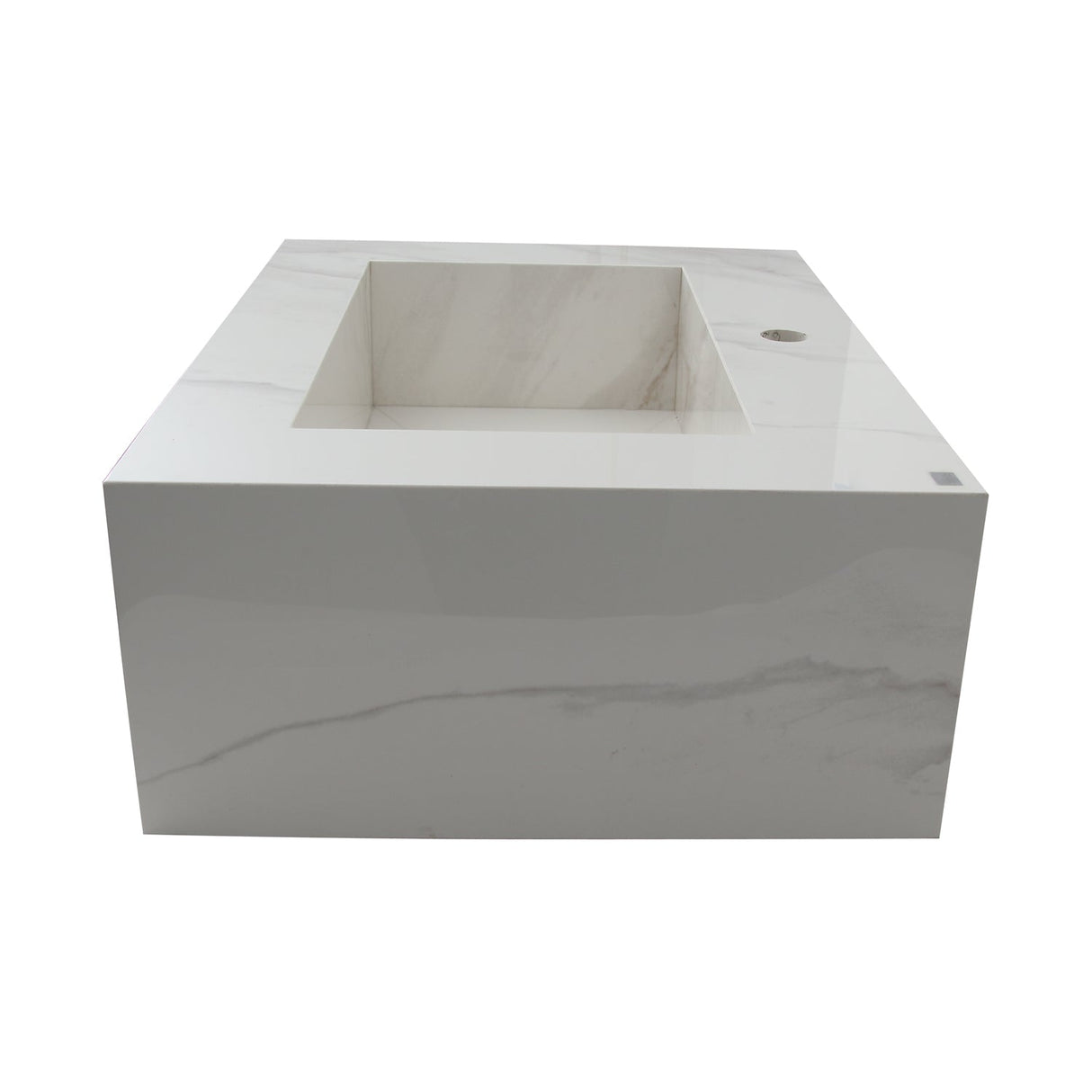 Precious 25" Wall-Hung Sink with Invisible Drain