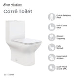 Carre One Piece Square Toilet Dual Flush 1.1/1.6 gpf in Matte White