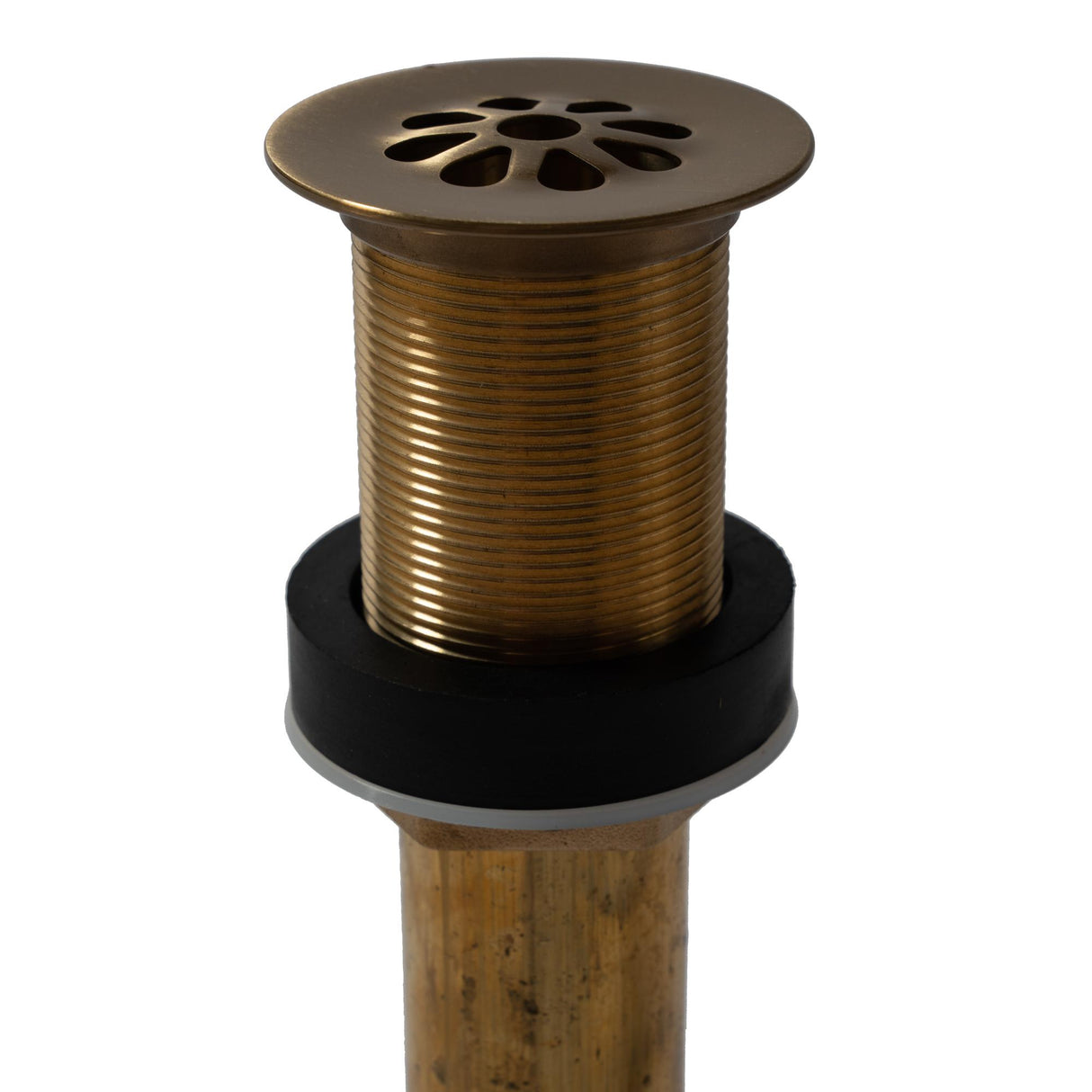 Thompson Traders Antique Satin Gold Flower Style Grid Drain Flower Style Grid TDG15-ASG Antique Satin Gold