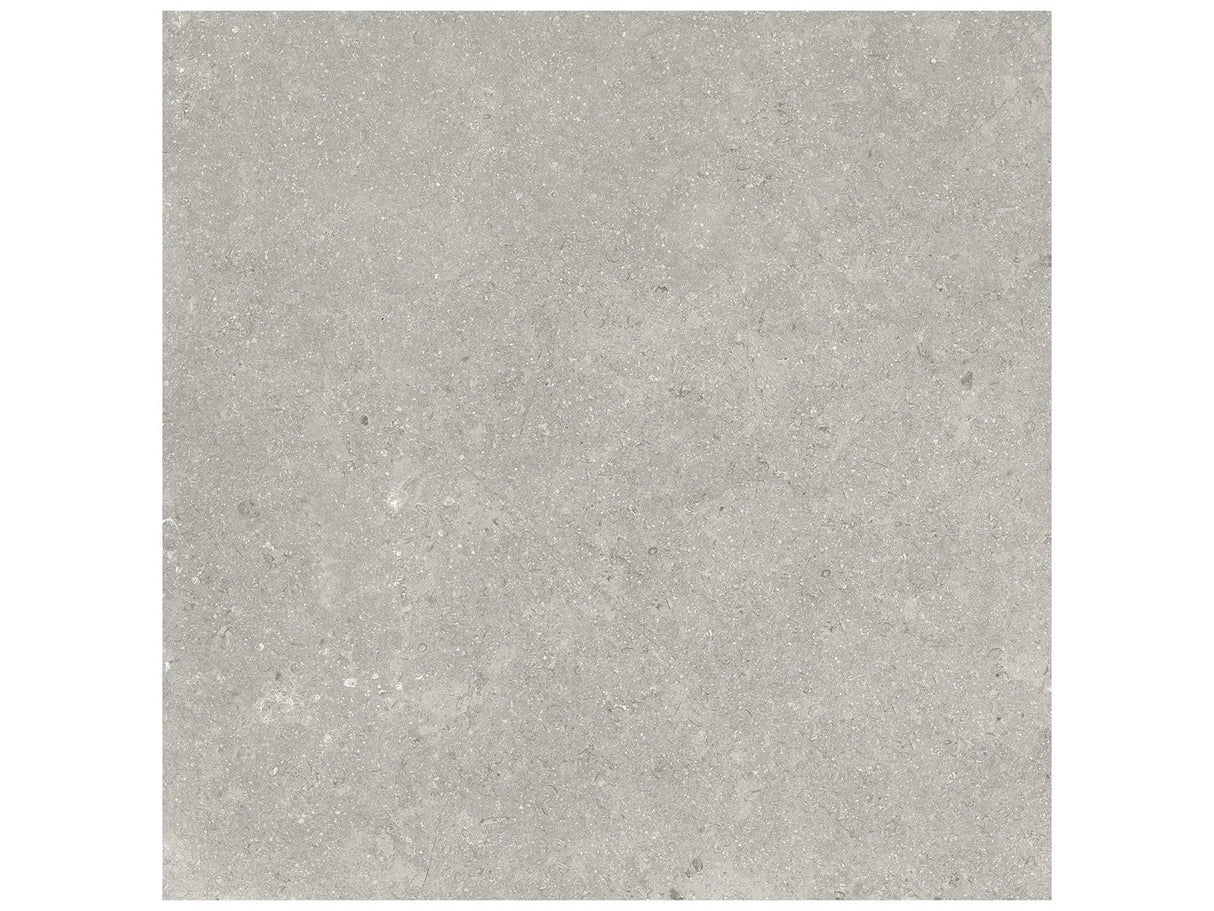 Anatolia 20X20 Coliseo Graphite Matte Porcelain Tile 4500-1037-0 Graphite 20x20 - premium natural stone mosaic tile from Anatolia Tile, available at PoshHaus showroom in Keene, NH