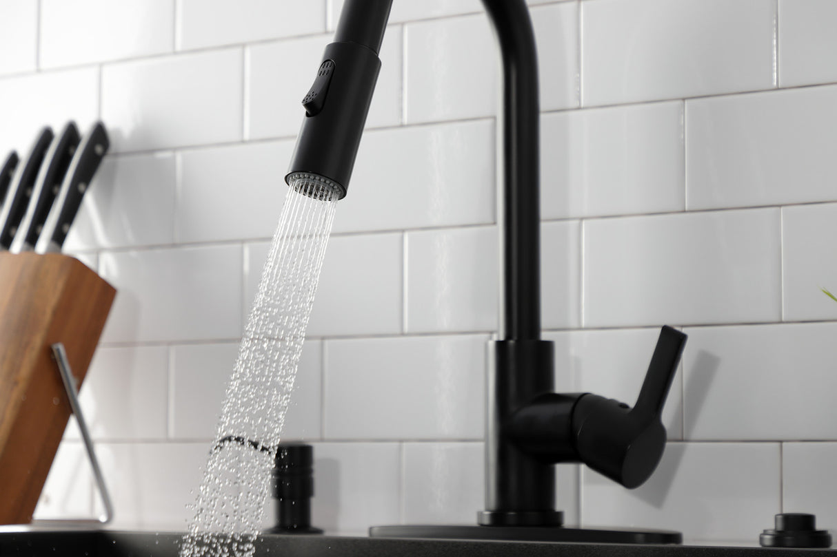 Gourmetier LS8780CTL Continental Single-Handle Pull-Down Kitchen Faucet, Matte Black