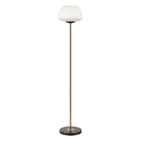 Elk H0019-9585 Ali Grove 62'' High 1-Light Floor Lamp - Aged Brass