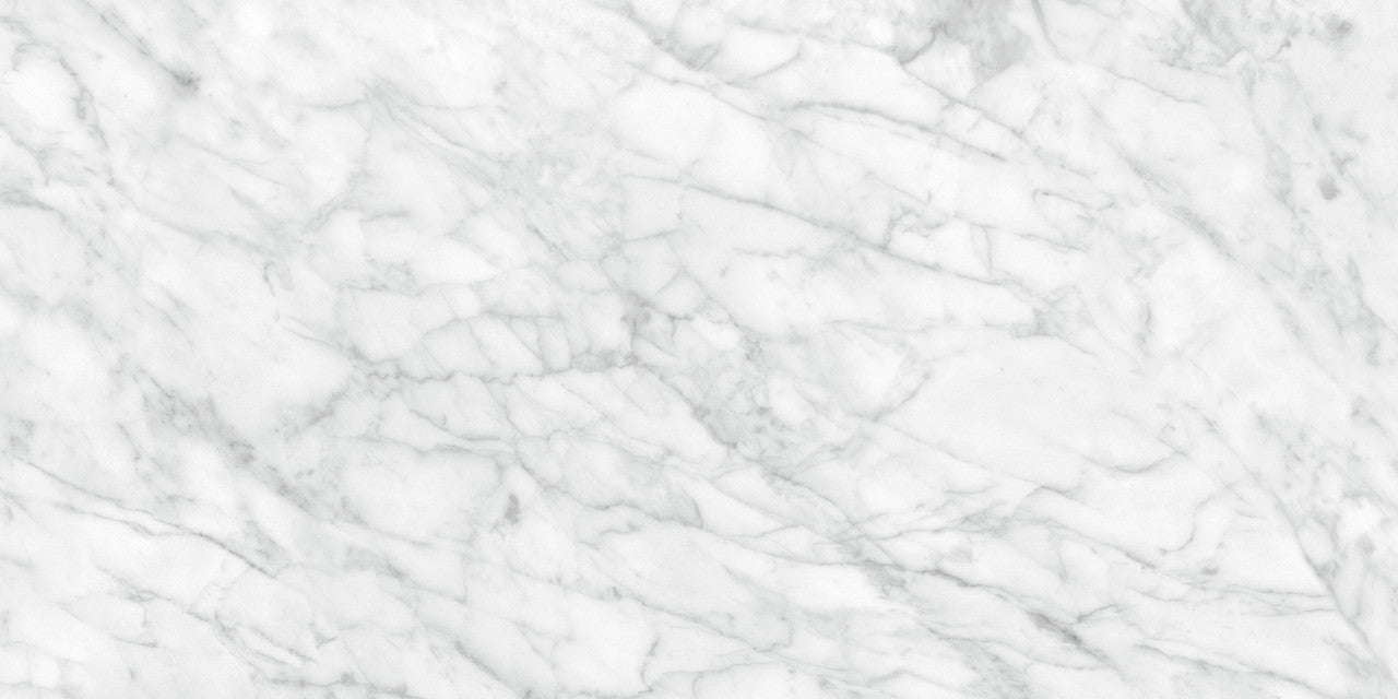 Anatolia Tile 24X48 Plata Carrara M Matte 4500-0960-0 Carrara Abisso 24x48 Matte - premium natural stone mosaic tile from Anatolia Tile, available at PoshHaus showroom in Keene, NH