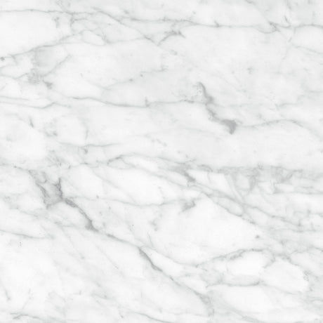Anatolia Tile 24X24 Plata Carrara P Polished 4500-0967-0 Carrara Abisso 24x24 Polished - premium natural stone mosaic tile from Anatolia Tile, available at PoshHaus showroom in Keene, NH