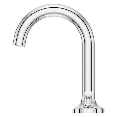 Pfister Polished Chrome 2-handle 8" Widespread Bathroom Faucet LG49-TNT3C