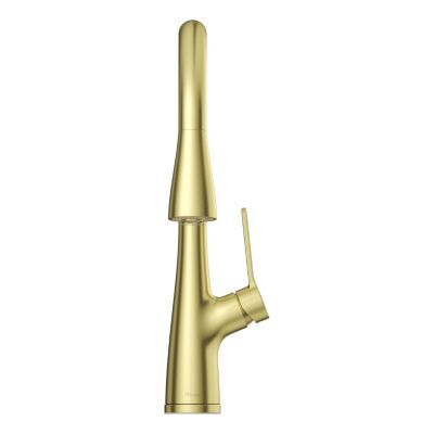 Pfister Brushed Gold Pull-down Kitchen Faucet LG529-NEBG