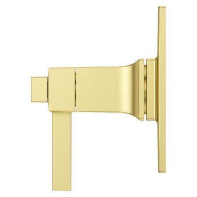 Pfister Brushed Gold Trim Kit for Thermostatic Shower R89-VRVBG
