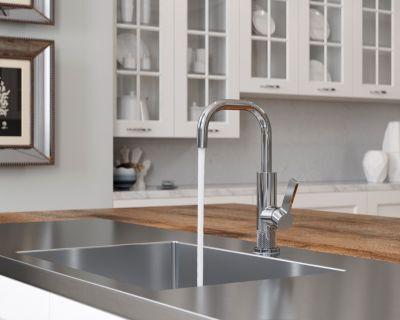 Pfister Polished Chrome 1-handle Bar & Prep Faucet GT72-MTC