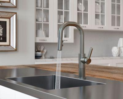 Pfister Stainless Steel 1-handle Pull-down Bar/prep Kitchen Faucet GT572-MTS