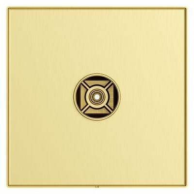 Pfister Brushed Gold Shower Valve Only Trim Without Handles R89-1VRVBG