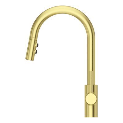 Pfister Brushed Gold 1-handle Pull-down Kitchen Faucet LG529-SABG