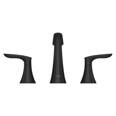 Pfister Matte Black 2-handle 8" Widespread Bathroom Faucet LG49-WR0B