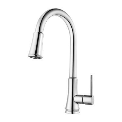 Pfister Polished Chrome 1-handle Pull-down Kitchen Faucet G529-PF2C
