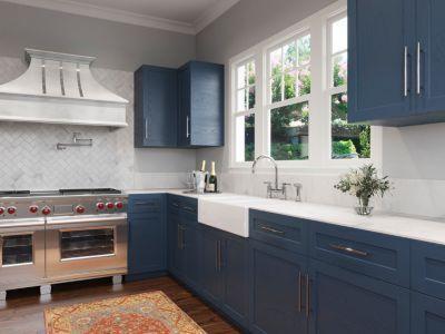 Pfister Polished Chrome 2-handle Kitchen Faucet LG31-TDC