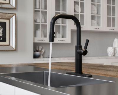 Pfister Matte Black 1-handle Pull-down Kitchen Faucet GT-529-MTB