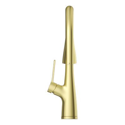 Pfister Brushed Gold Pull-down Kitchen Faucet LG529-NEBG