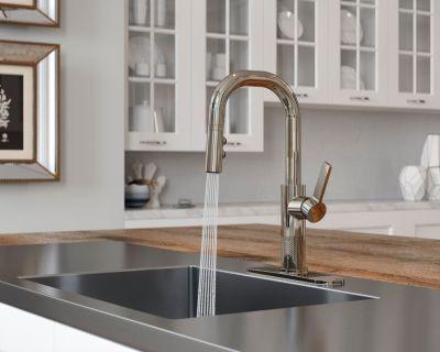 Pfister Polished Nickel 1-handle Pull-down Bar/prep Kitchen Faucet GT572-MTD