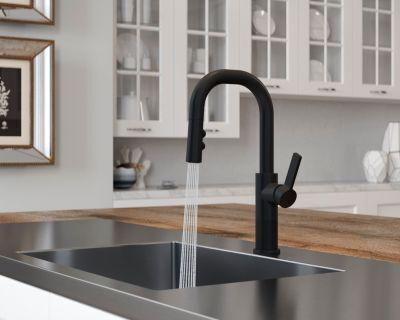 Pfister Matte Black 1-handle Pull-down Bar/prep Kitchen Faucet GT572-MTB