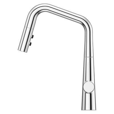 Pfister Polished Chrome 1-handle Pull-down Kitchen Faucet GT529-ASRC