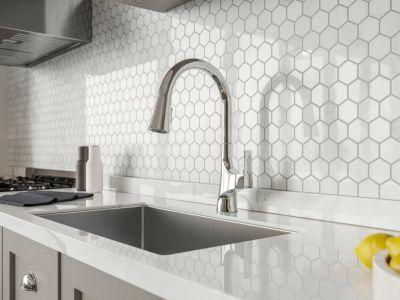 Pfister Polished Chrome 1-handle Pull-down Kitchen Faucet GT529-NRC