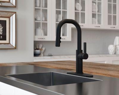 Pfister Matte Black 1-handle Pull-down Bar/prep Kitchen Faucet GT572-MTB