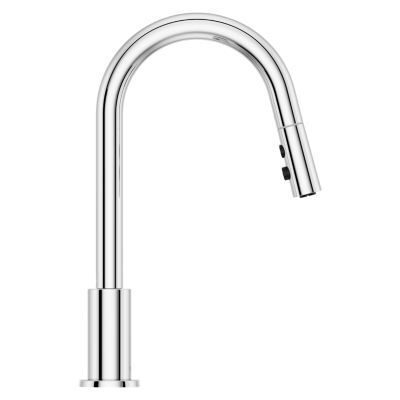 Pfister Polished Chrome 1-handle Pull-down Kitchen Faucet GT529-BIC