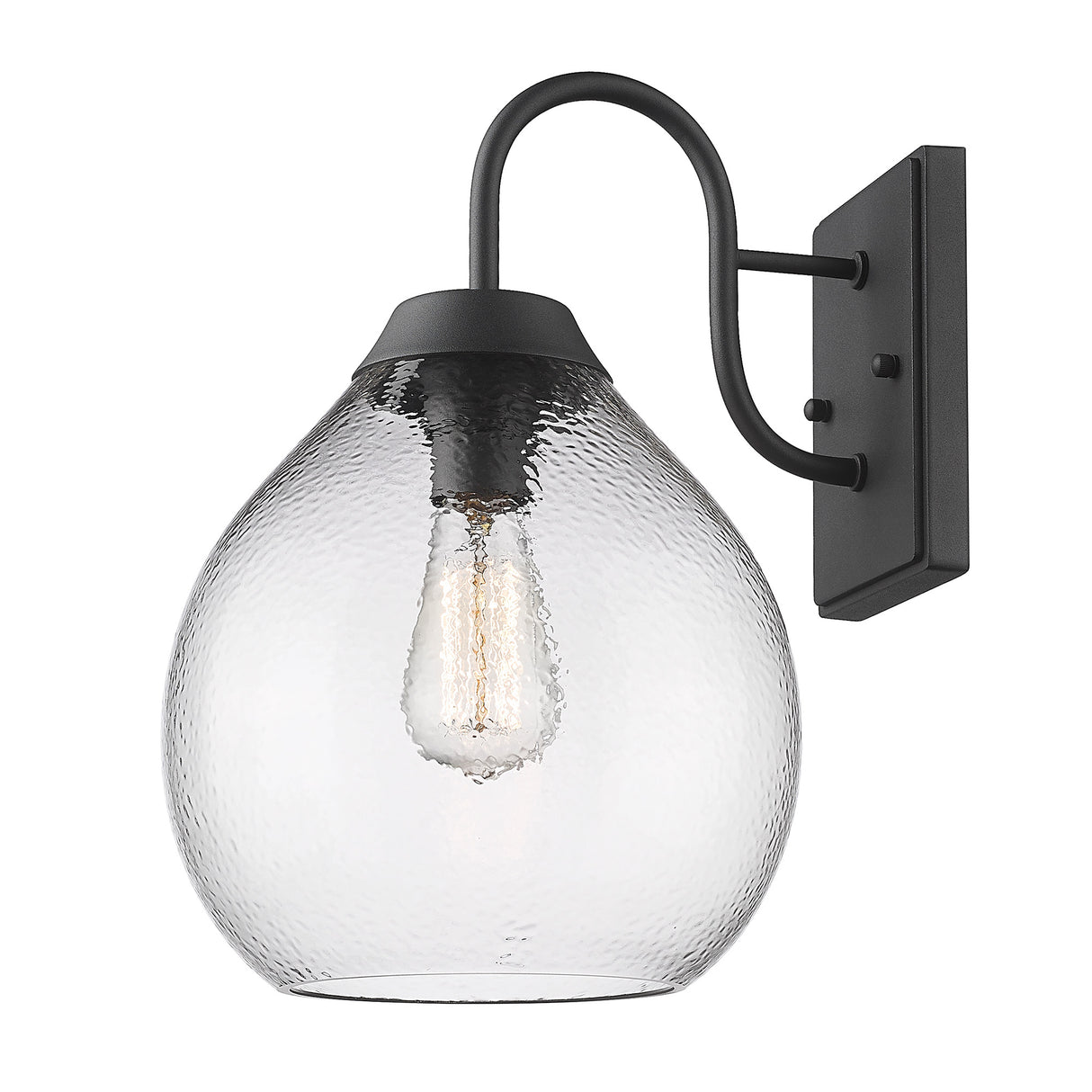 Ariella NB 1-Light Wall Sconce - Outdoor in Natural Black with Hammered Clear Glass Shade