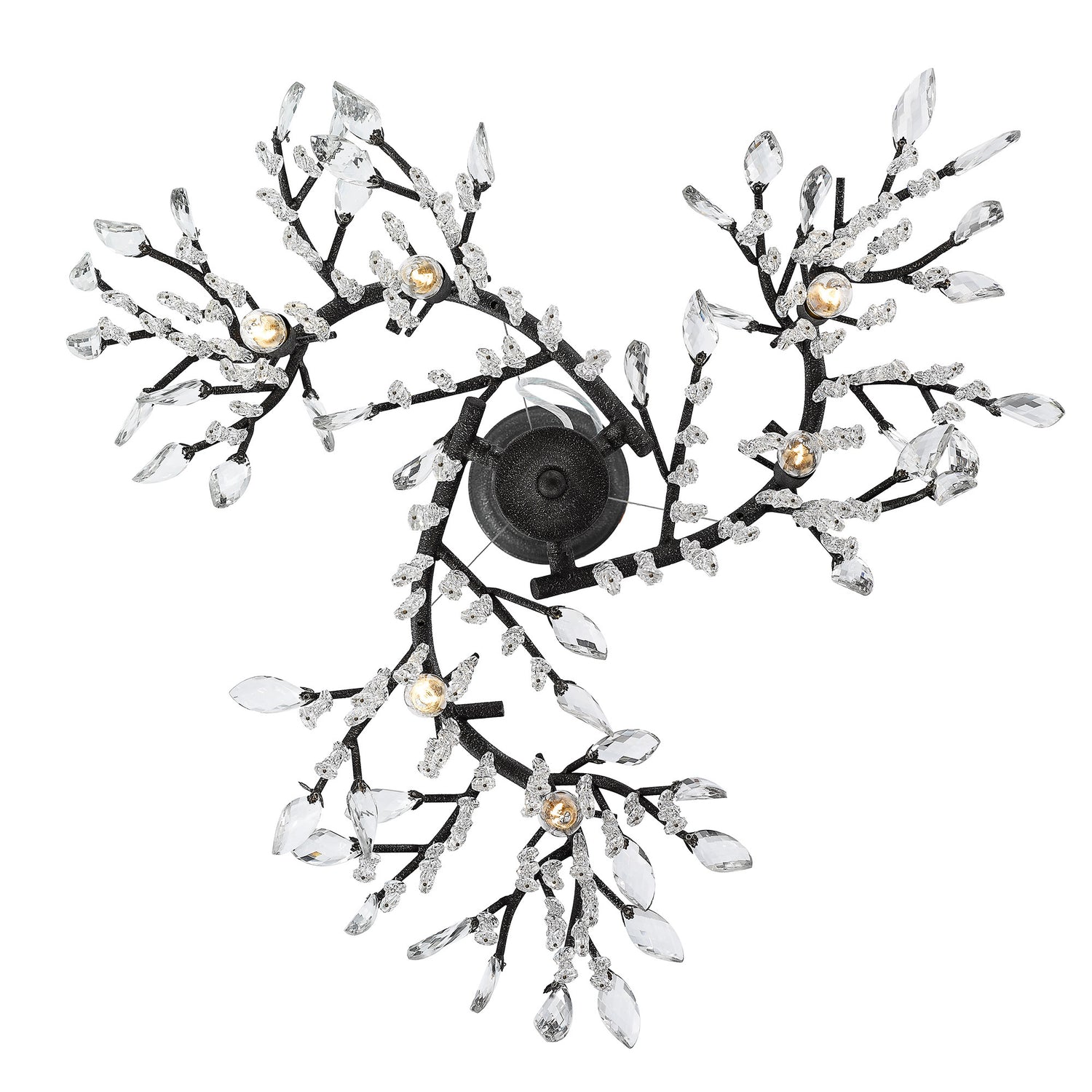 Autumn Twilight 6 Light Chandelier in Black Iron