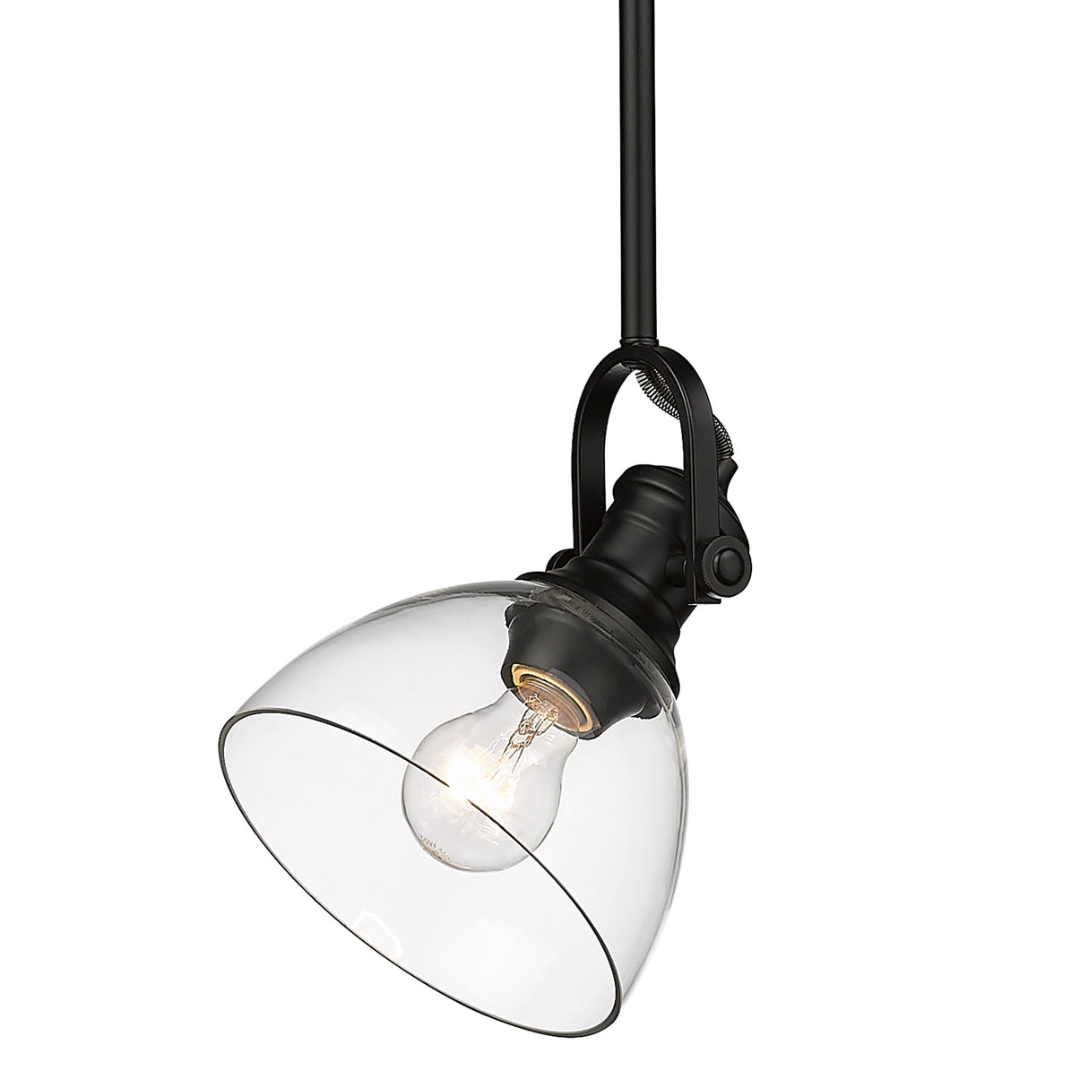 Hines 1-Light Mini Pendant in Matte Black with Clear Glass