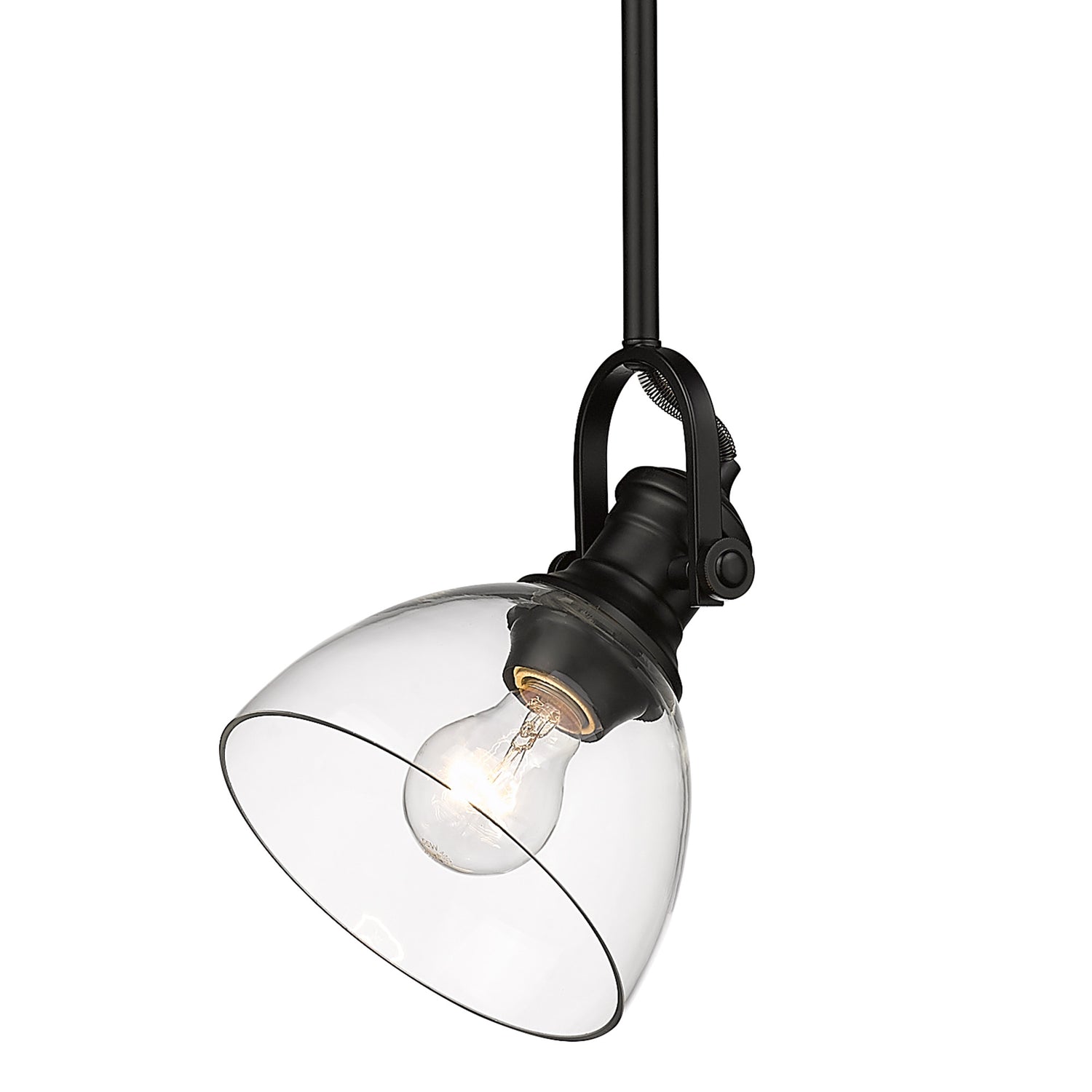 Hines 1-Light Mini Pendant in Matte Black with Clear Glass