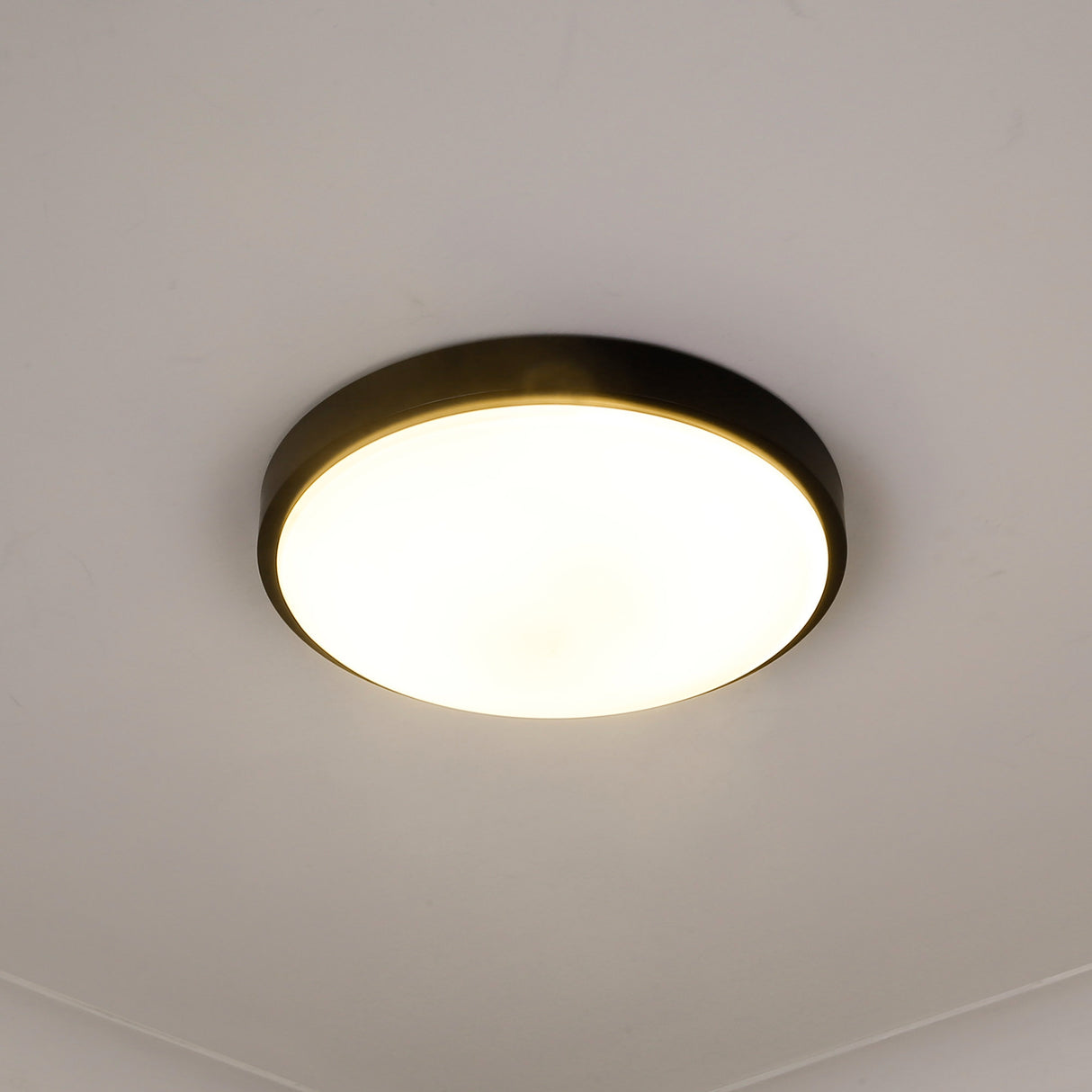 Gabi 13" Flush Mount in Matte Black with Opal Glass