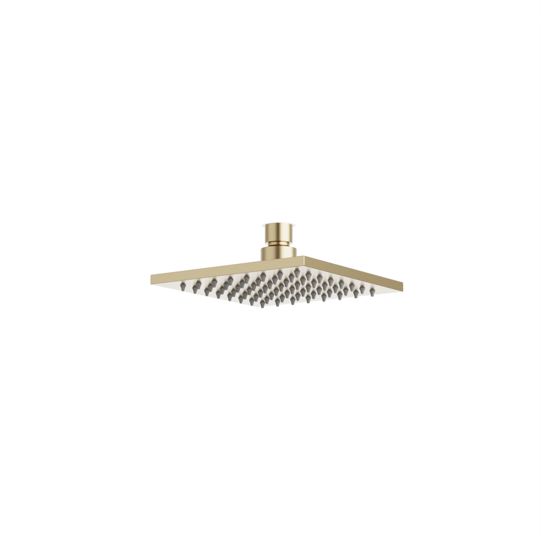 Artos Edge 6" Rain Shower Head Satin Brass – F901-19SB