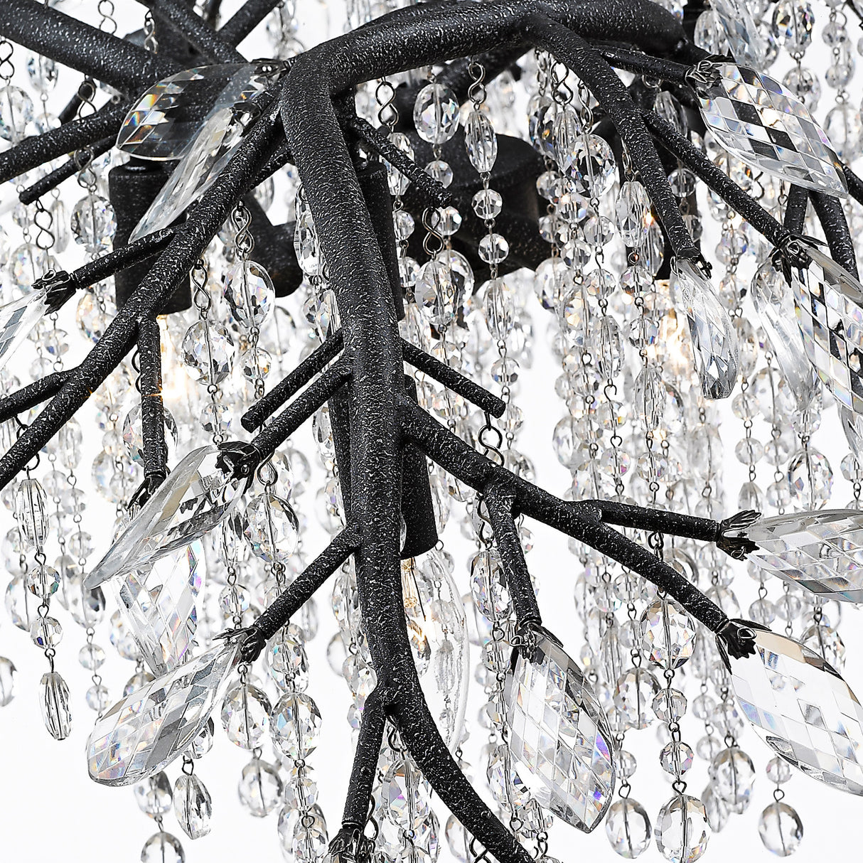 Autumn Twilight 6 Light Chandelier in Black Iron