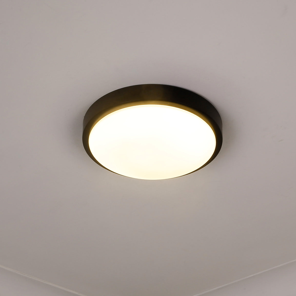 Gabi 10" Flush Mount in Matte Black with Opal Glass
