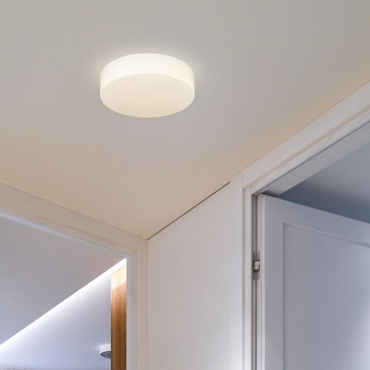 Toli BLK Flush Mount in Matte Black with Opal Glass Shade