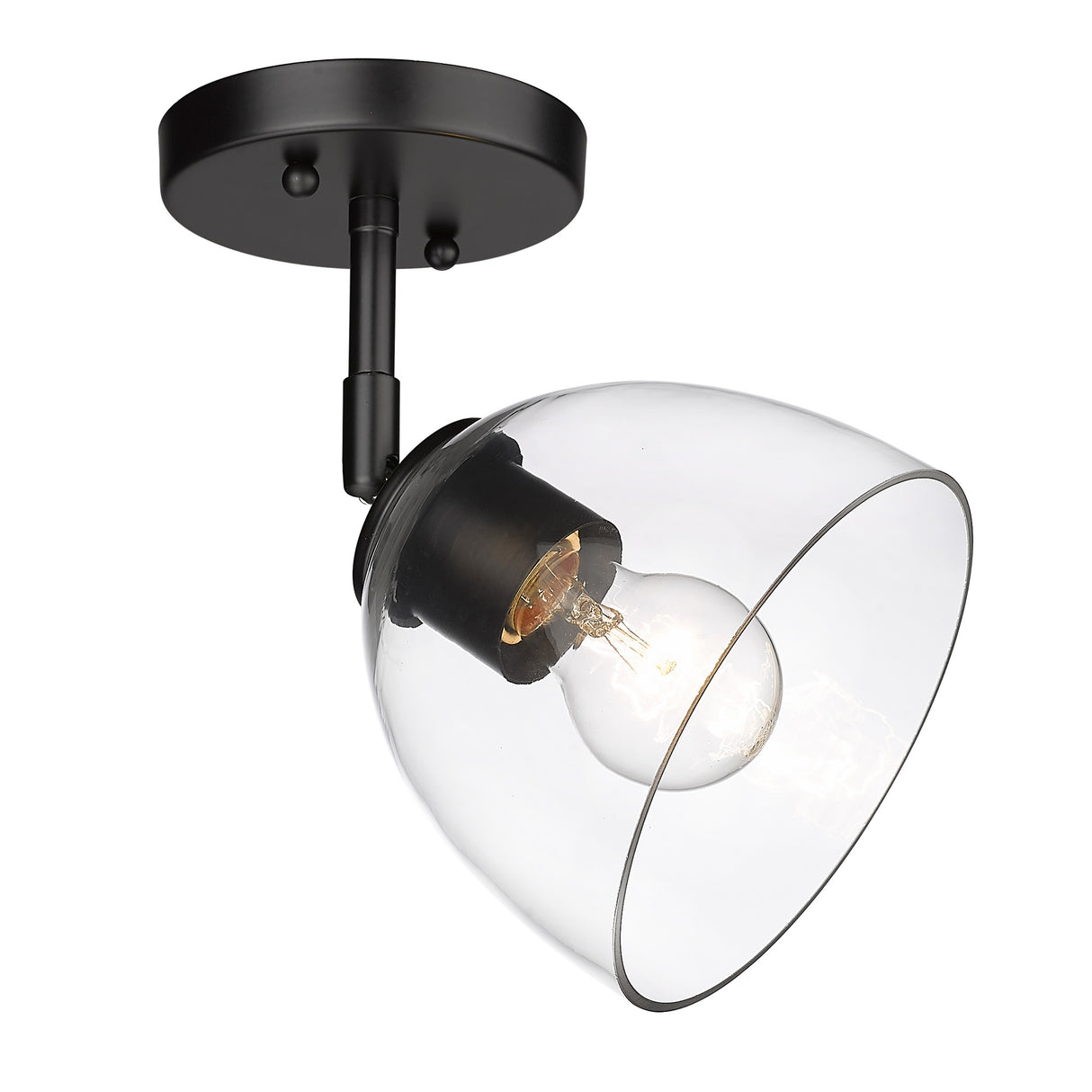 Roxie 1 Light Wall Sconce in Matte Black with Matte Black Accents and Clear Glass Shade